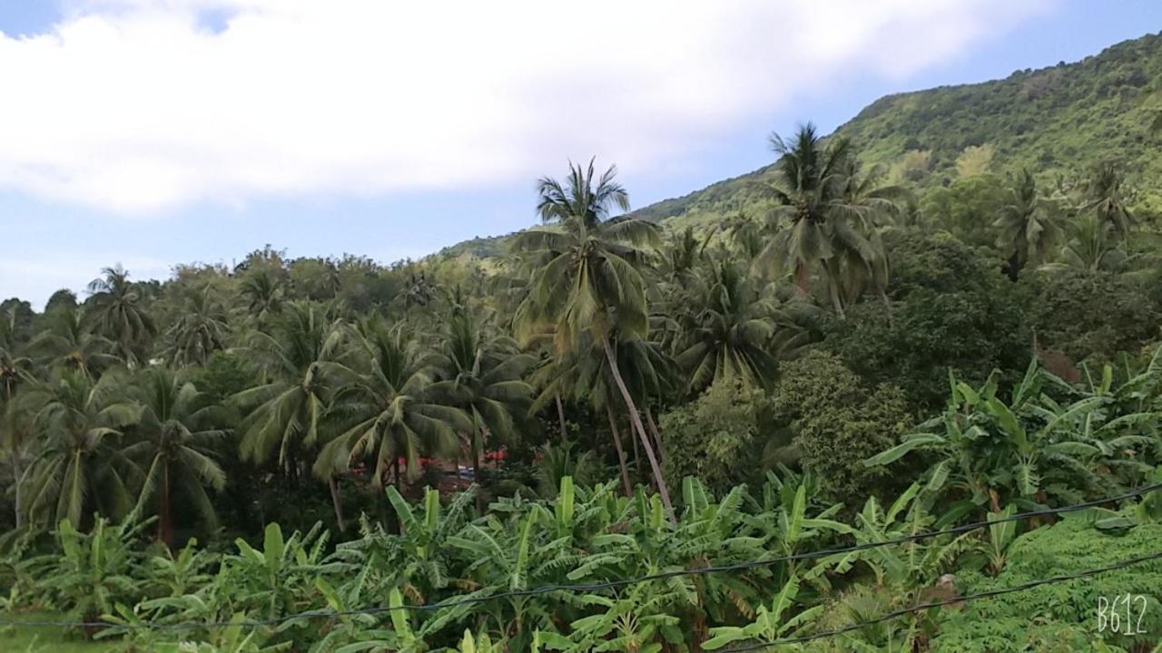 Homestay View Doi Hon Son Lai Son 外观 照片